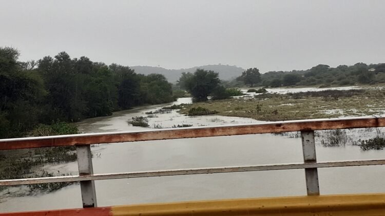 Viviendas ribereñas rodeadas de agua durante una crecida fluvial en el Litoral argentino.