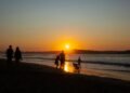 Silueta de perro al atardecer, evocando el vínculo emocional entre personas y animales de compañía.