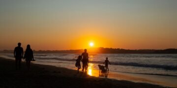 Silueta de perro al atardecer, evocando el vínculo emocional entre personas y animales de compañía.