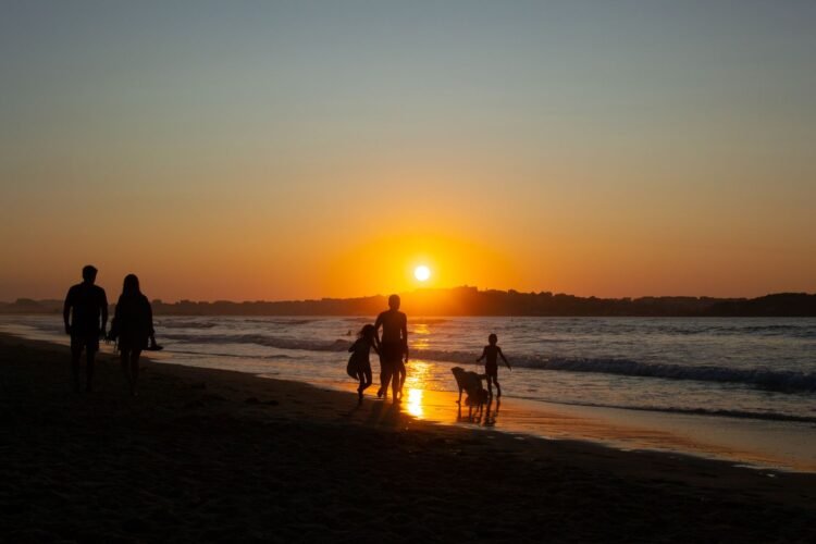 Silueta de perro al atardecer, evocando el vínculo emocional entre personas y animales de compañía.