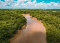 Vista aérea de la selva amazónica con un río serpenteando entre la vegetación densa