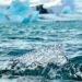 Plataforma de hielo marino antártico rodeada por el océano Austral bajo cielo polar.