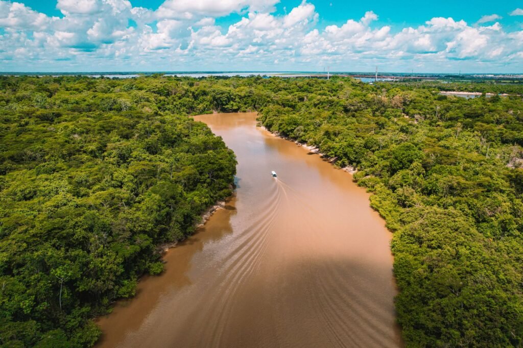 Bosque inundable amazónico visto desde el aire, con árboles emergiendo del agua durante la época de crecida en la Amazonia br