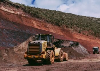 Topadoras arrasando bosque nativo en territorio indígena de Santiago del Estero