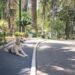 Perros y gatos con sus dueños en un espacio público de Buenos Aires