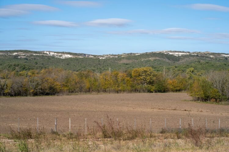 Campo agrícola con tierra agrietada por sequía extrema en Latinoamérica