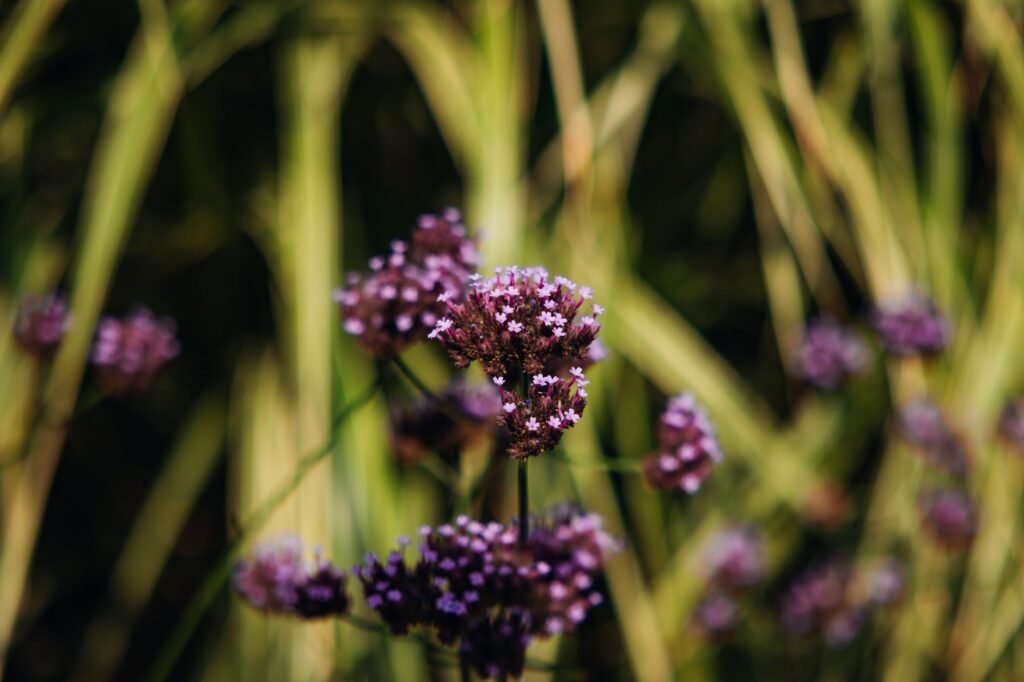 Abejorro polinizando flores silvestres en pradera de montaña, hábitat típico de especies protegidas en España.