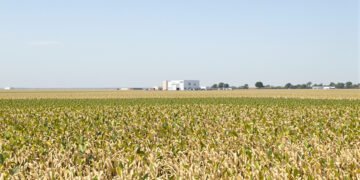 Campo experimental de investigación agropecuaria, símbolo del trabajo científico del INTA en Argentina.