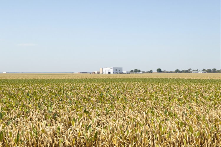 Campo experimental de investigación agropecuaria, símbolo del trabajo científico del INTA en Argentina.