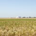 Campo experimental de investigación agropecuaria, símbolo del trabajo científico del INTA en Argentina.