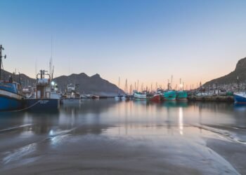 Barcos pesqueros atracados en un puerto industrial costero, similar a las zonas donde operan fábricas de harina de pescado en