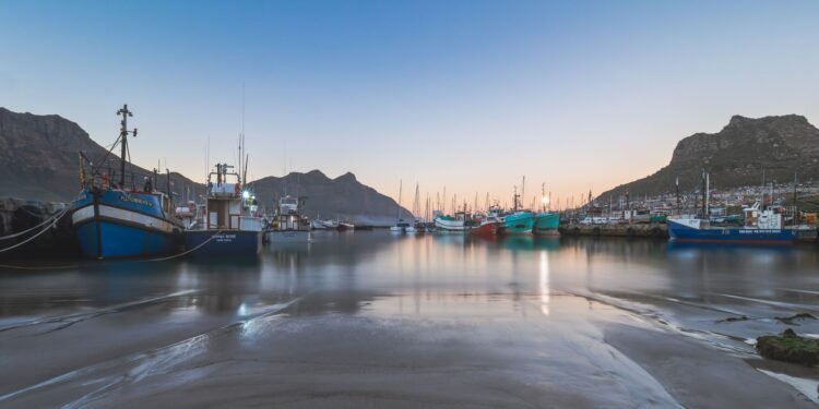 Barcos pesqueros atracados en un puerto industrial costero, similar a las zonas donde operan fábricas de harina de pescado en