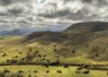 Campos rurales argentinos bajo la nueva normativa de tierras que permite compra extranjera sin límites.