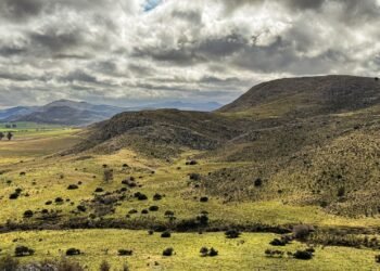 Campos rurales argentinos bajo la nueva normativa de tierras que permite compra extranjera sin límites.