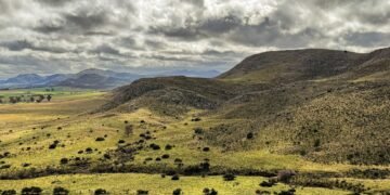 Campos rurales argentinos bajo la nueva normativa de tierras que permite compra extranjera sin límites.