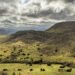 Campos rurales argentinos bajo la nueva normativa de tierras que permite compra extranjera sin límites.