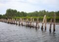Estructuras de bambú en zona costera para protección natural contra inundaciones en Filipinas.