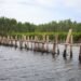 Estructuras de bambú en zona costera para protección natural contra inundaciones en Filipinas.
