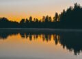 Bosque boreal finlandés junto a un lago al atardecer, ecosistema clave en el debate sobre créditos de conservación.