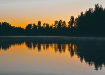 Bosque boreal finlandés junto a un lago al atardecer, ecosistema clave en el debate sobre créditos de conservación.