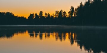 Bosque boreal finlandés junto a un lago al atardecer, ecosistema clave en el debate sobre créditos de conservación.
