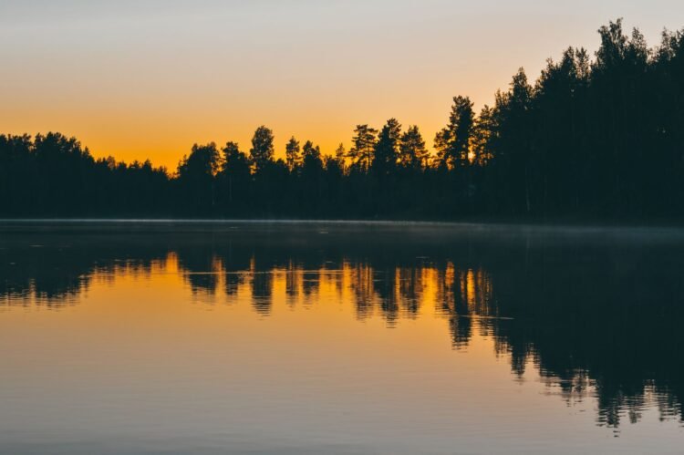 Bosque boreal finlandés junto a un lago al atardecer, ecosistema clave en el debate sobre créditos de conservación.
