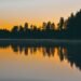 Bosque boreal finlandés junto a un lago al atardecer, ecosistema clave en el debate sobre créditos de conservación.