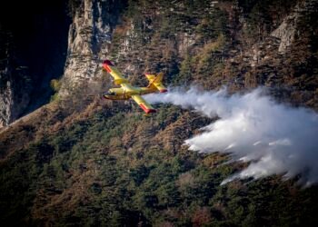 Una IA predice el avance de incendios forestales con 94,6% de precisión 12 horas antes