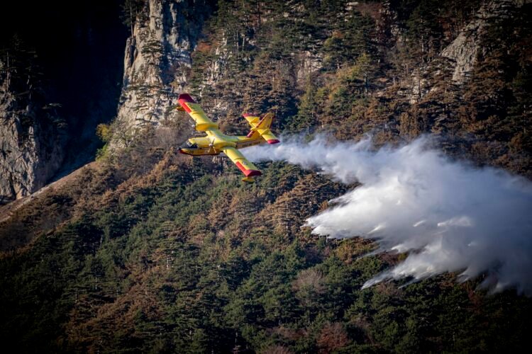 Una IA predice el avance de incendios forestales con 94,6% de precisión 12 horas antes