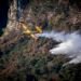 Una IA predice el avance de incendios forestales con 94,6% de precisión 12 horas antes