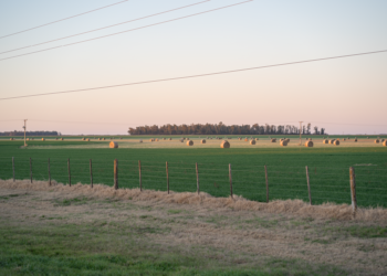 Campos rurales argentinos bajo cielo despejado, territorio sujeto a regulación sobre venta a extranjeros.