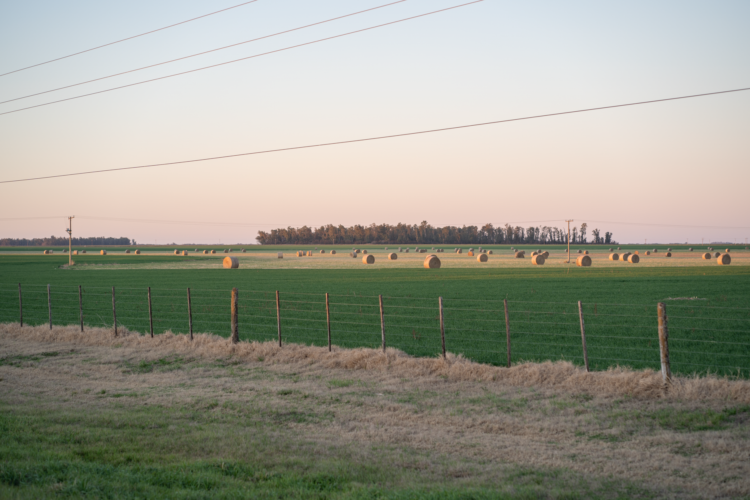 Campos rurales argentinos bajo cielo despejado, territorio sujeto a regulación sobre venta a extranjeros.