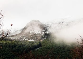Paisaje forestal afectado por incendios, con humo denso y vegetación quemada.