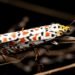 Detalle de patrones alares en mariposa, mostrando las rayas y manchas que generan ilusiones ópticas.
