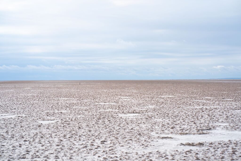 Vista aérea del salar del Hombre Muerto en Catamarca, uno de los principales enclaves de producción de litio en Argentina.