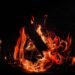 Incendio forestal con llamas naranjas avanzando sobre vegetación seca en California.