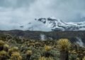 Paisaje de páramo colombiano en las montañas andinas con vegetación nativa característica del ecosistema.
