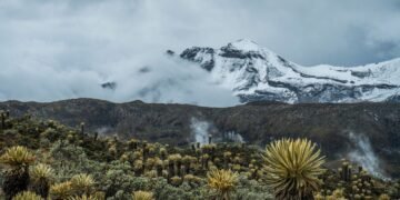 Paisaje de páramo colombiano en las montañas andinas con vegetación nativa característica del ecosistema.