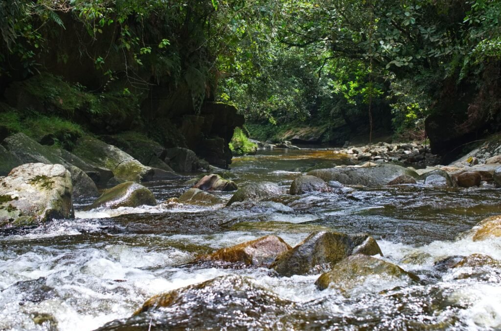 Paisaje del río amazónico en Ecuador, territorio de las comunidades indígenas que usan el rap para defender su tierra.