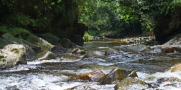 Paisaje del río amazónico en Ecuador, territorio de las comunidades indígenas que usan el rap para defender su tierra.