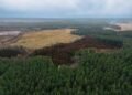 Paisaje de bosque devastado por deforestación en América Latina