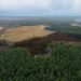 Paisaje de bosque devastado por deforestación en América Latina