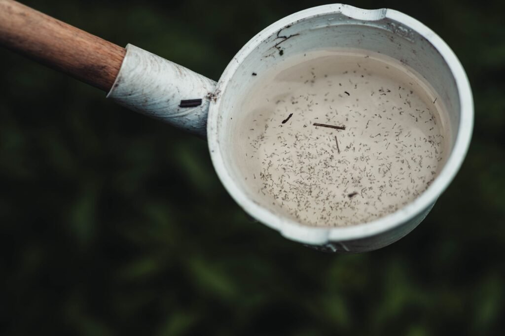 Recipiente con agua estancada donde se reproducen mosquitos transmisores de dengue en Argentina.