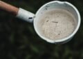 Recipiente con agua estancada donde se reproducen mosquitos transmisores de dengue en Argentina.