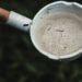 Recipiente con agua estancada donde se reproducen mosquitos transmisores de dengue en Argentina.