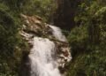 Manantial en la selva amazónica brasileña, hábitat de comunidades indígenas Mura.