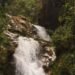 Manantial en la selva amazónica brasileña, hábitat de comunidades indígenas Mura.