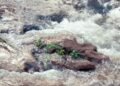 Aguas turbulentas del río Paraná durante una crecida en la zona de San Lorenzo, Santa Fe.