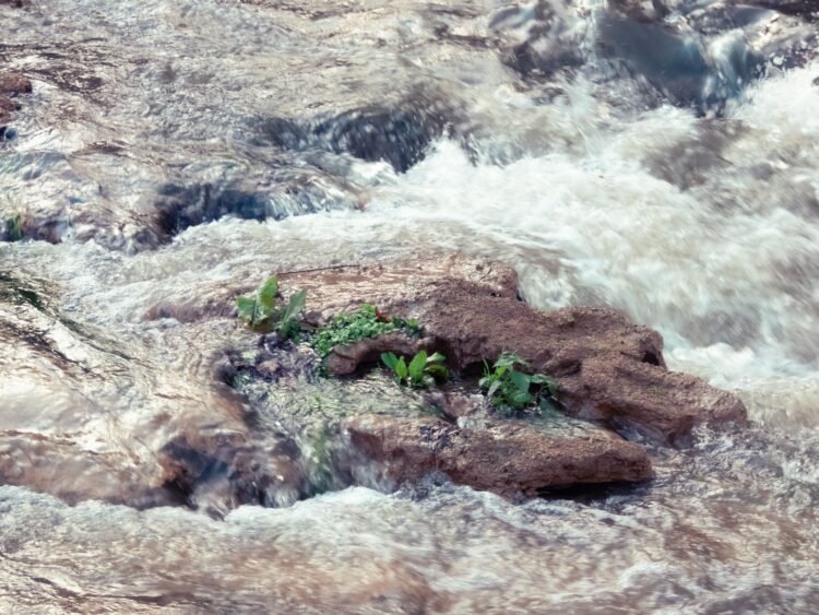 Aguas turbulentas del río Paraná durante una crecida en la zona de San Lorenzo, Santa Fe.