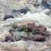 Aguas turbulentas del río Paraná durante una crecida en la zona de San Lorenzo, Santa Fe.